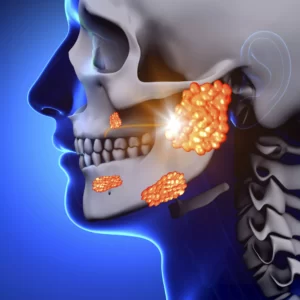 salivary glands