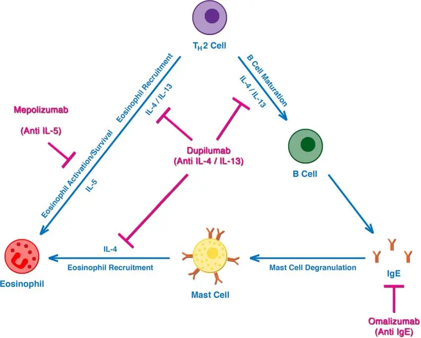 biologics_nasal_polyps